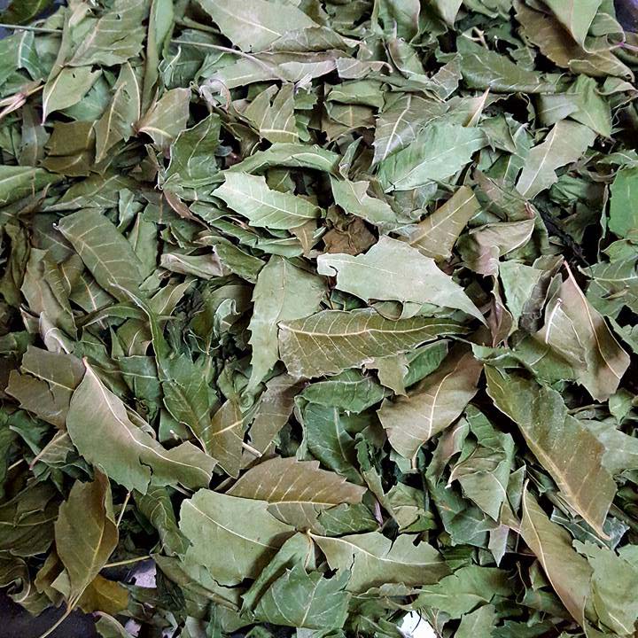 la neem an do tri benh gi
