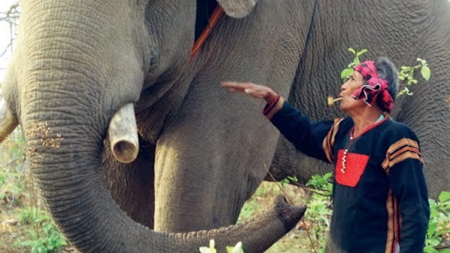 amakong tay nguyen