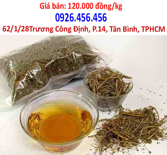 tac dung cua cay cho de