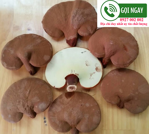 cach dung nam linh chi