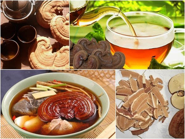 cach su dung nam linh chi