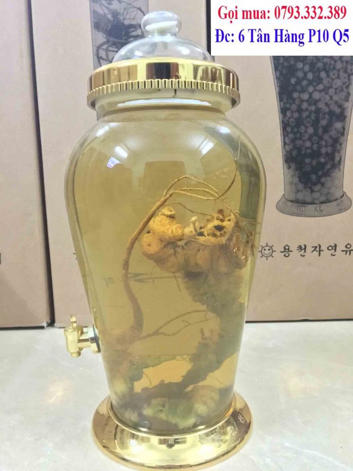 binh thuy tinh ngam ruou 10l gia re
