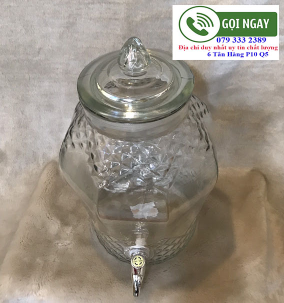 binh thuy tinh ngam ruou 20l co voi