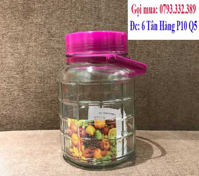 binh thuy tinh ngam ruou 5l
