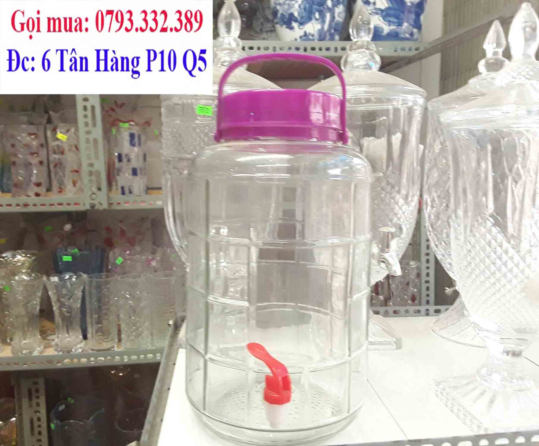 binh thuy tinh ngam ruou 5l gia re