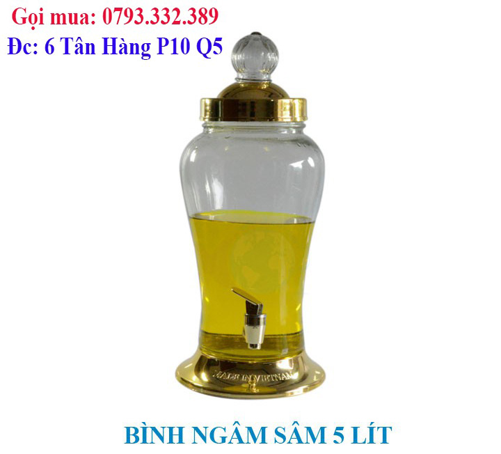 binh thuy tinh ngam sam 5 lit co van