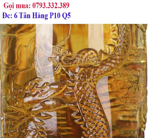 mua binh thuy tinh ngam ruou 30l o dau