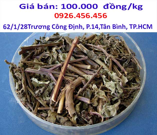 cach su sung cay rau meo