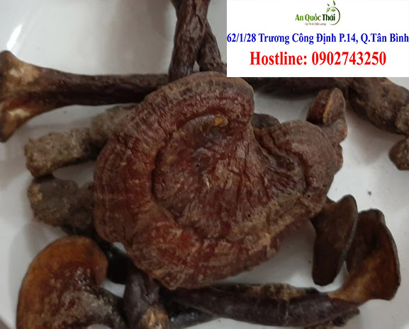 gia nam lim xanh
