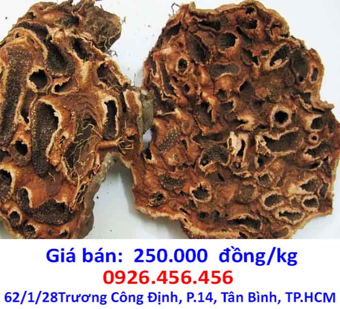 bi ky nam