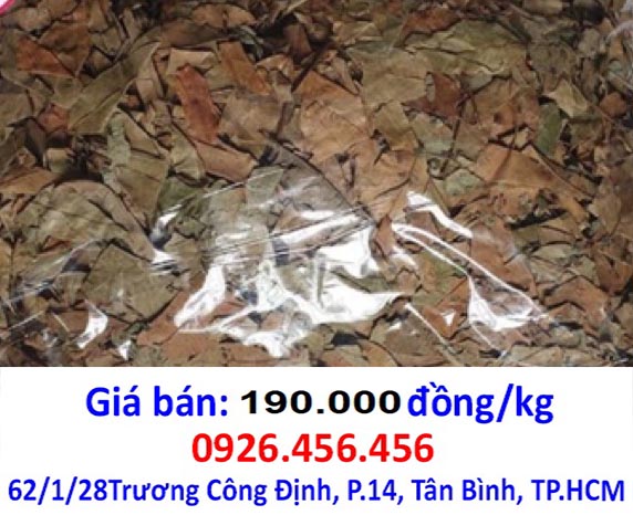 ban cay thanh nganh