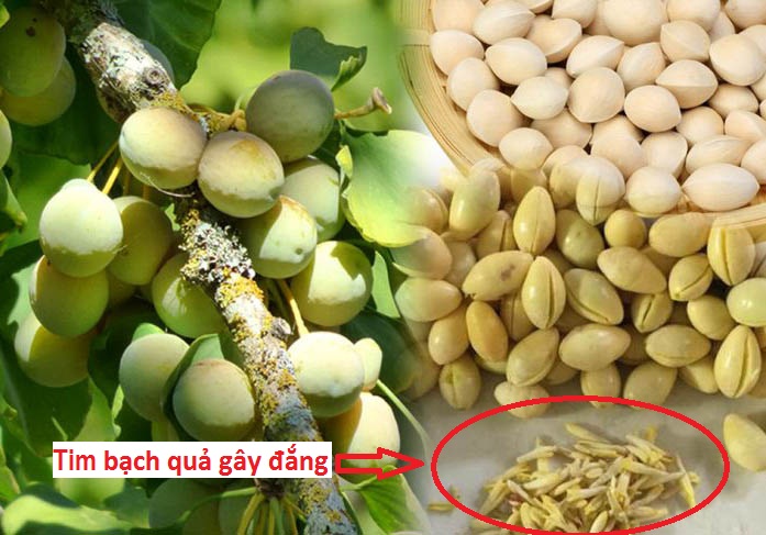 nau che duong nhan