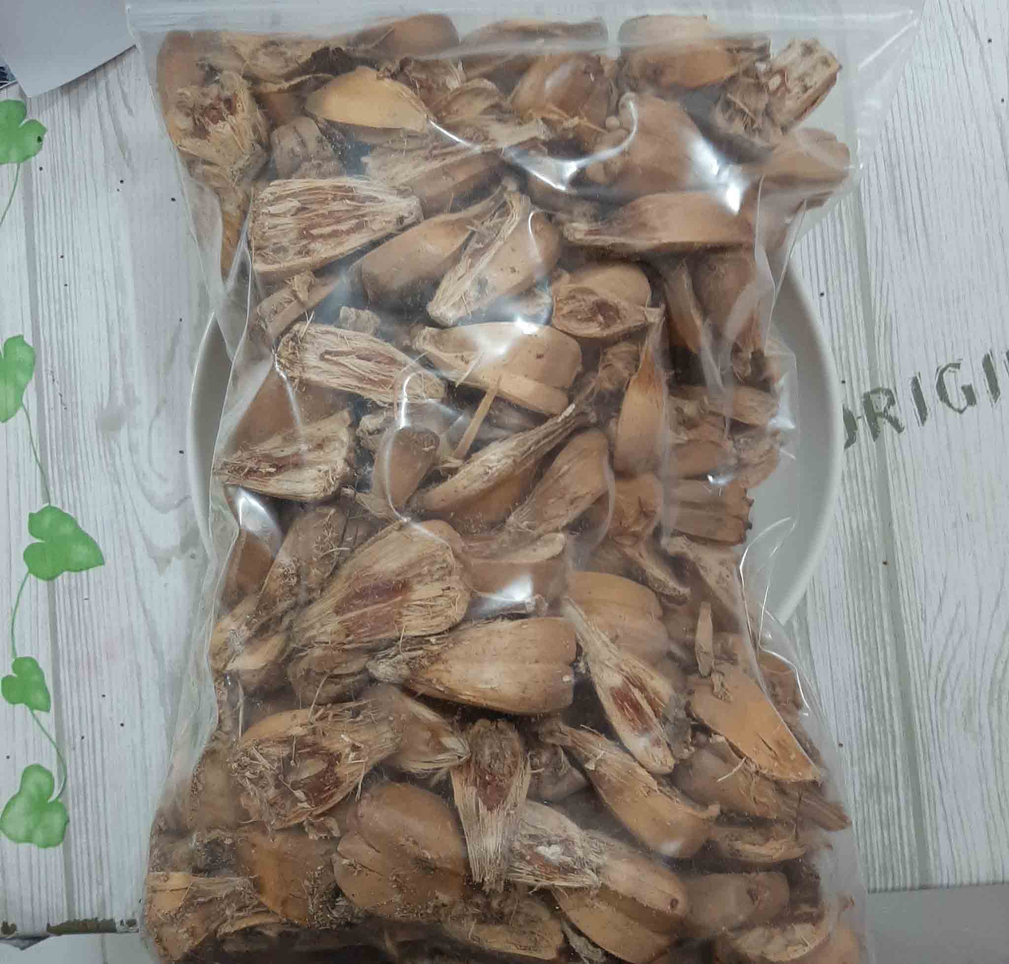 cay dua dai