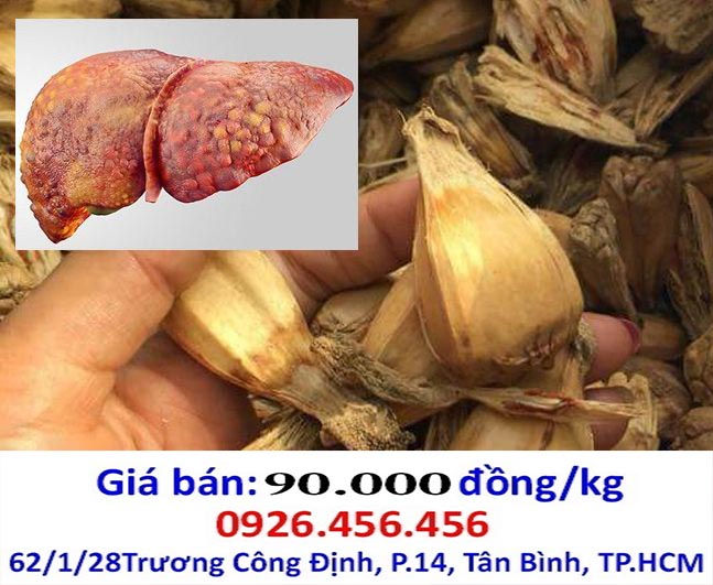 qua dua dai chua benh gi