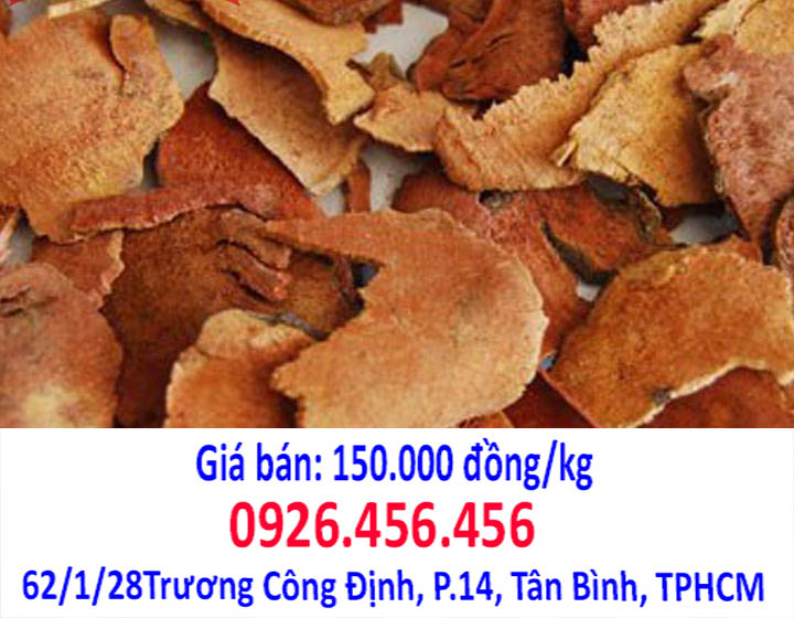 tho phuc linh co tac dung gi