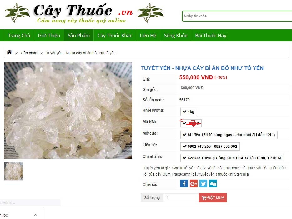 che tuyet yen