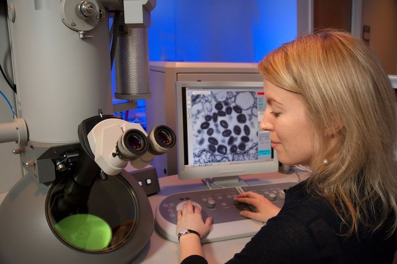 Science Care A ForProfit Body Donation Program Facilitating