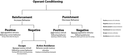 SCT | Social Cognitive Theory by Albert Bandura