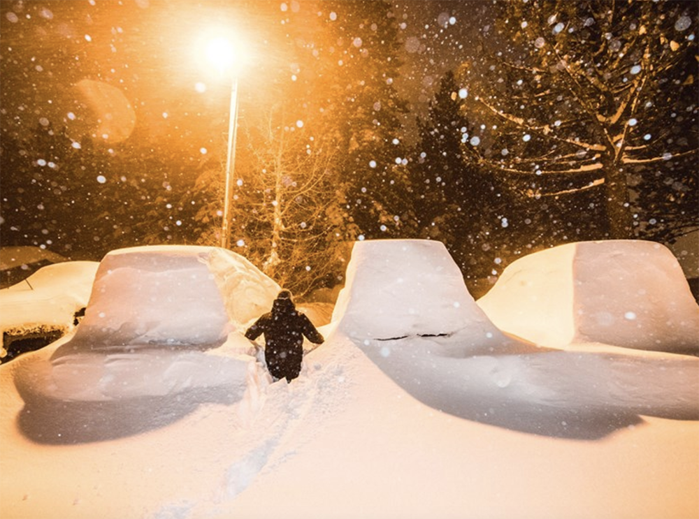 Cars covered in snow