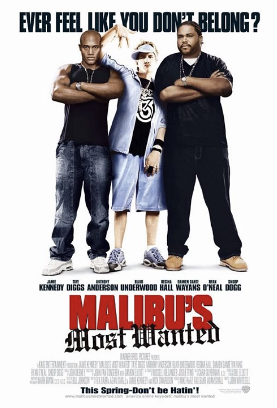 Movie Poster for the movie Malibu's Most Wanted