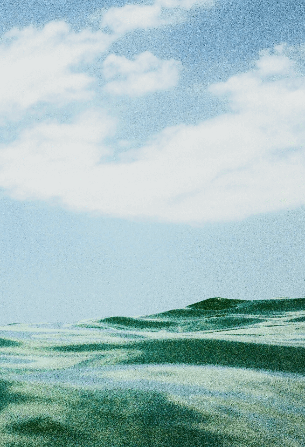 waves in the ocean