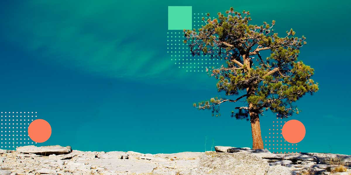 Creating a resilient finance organization.