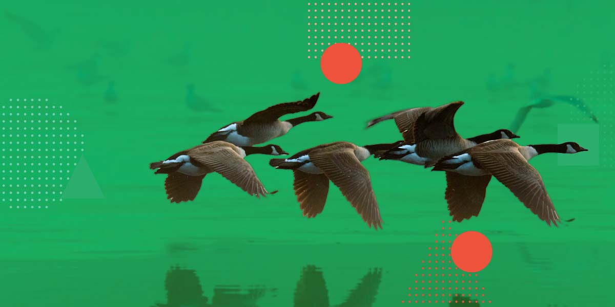 How to migrate to a more powerful ERP while protecting data integrity and minimizing disruption.