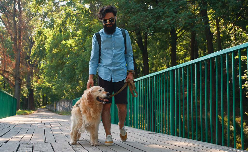 Blog Archives | Page 5 of 10 | SAGE Veterinary Centers