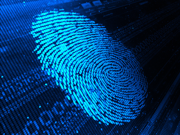 What are Police Checks and Why are They Important?