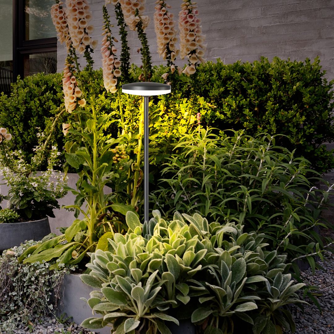 Modern Lighting Collection Designer Lighting