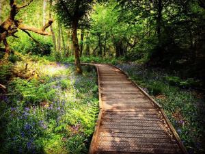 Bryngarw Country Park