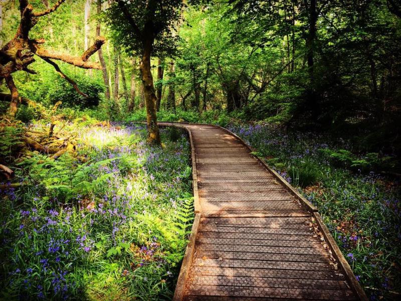 Bryngarw Country Park