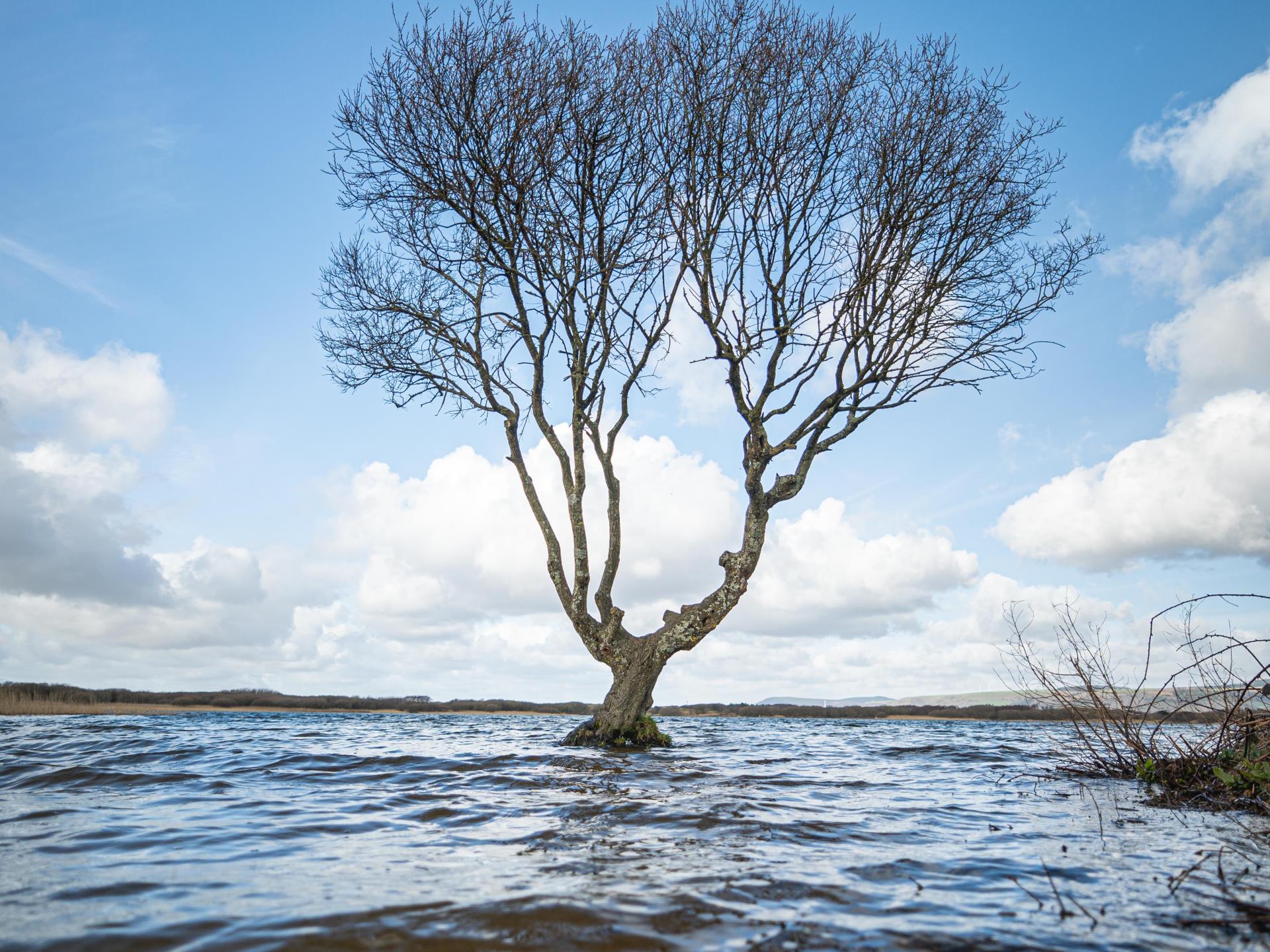 Kenfig National Nature Reserve