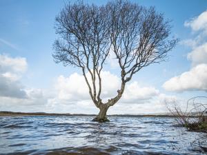 Kenfig National Nature Reserve