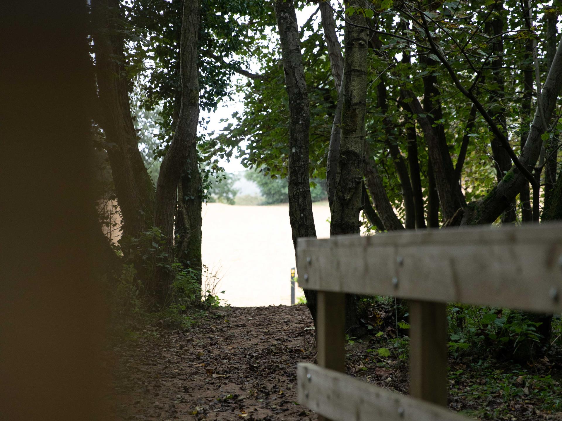 Merthyr Mawr Warren National Nature Reserve