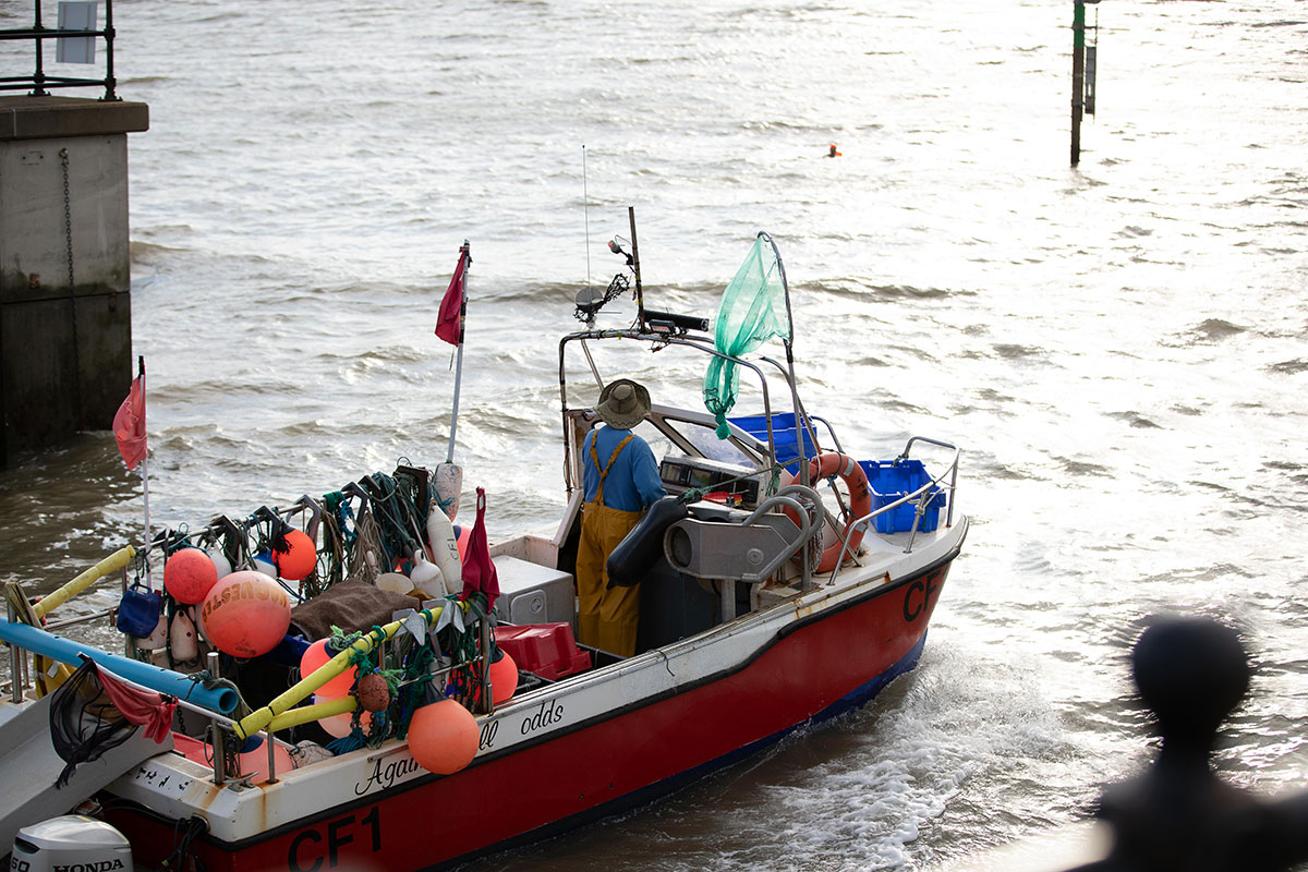 Porthcawl Marina Opening Times