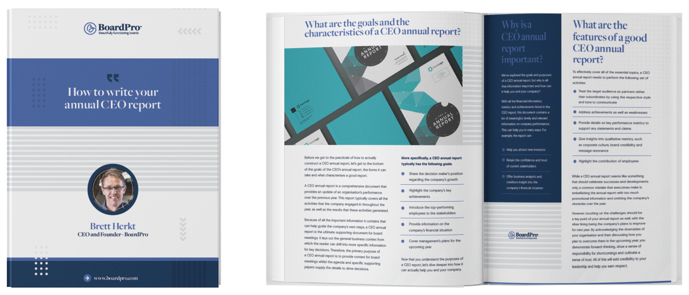 Whitepaper: How to write your annual CEO Report