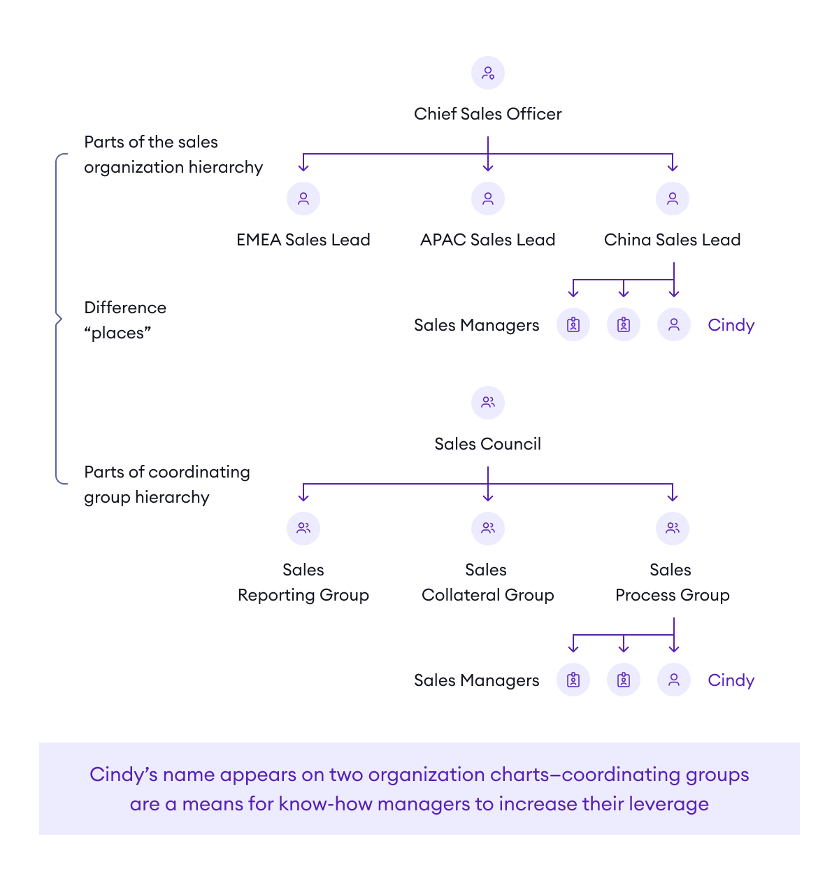 The two-plane organization