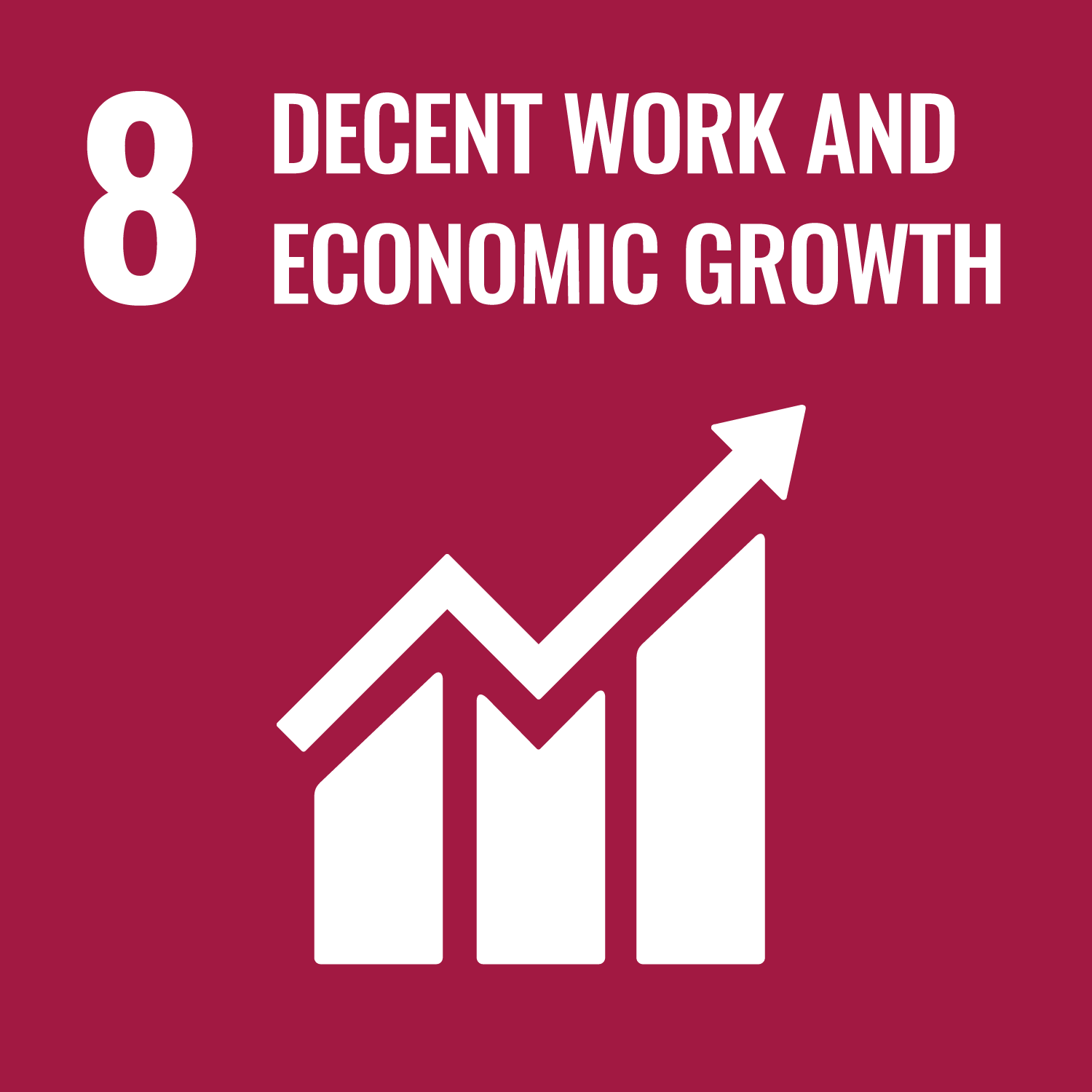WisR ROI SDG 8
