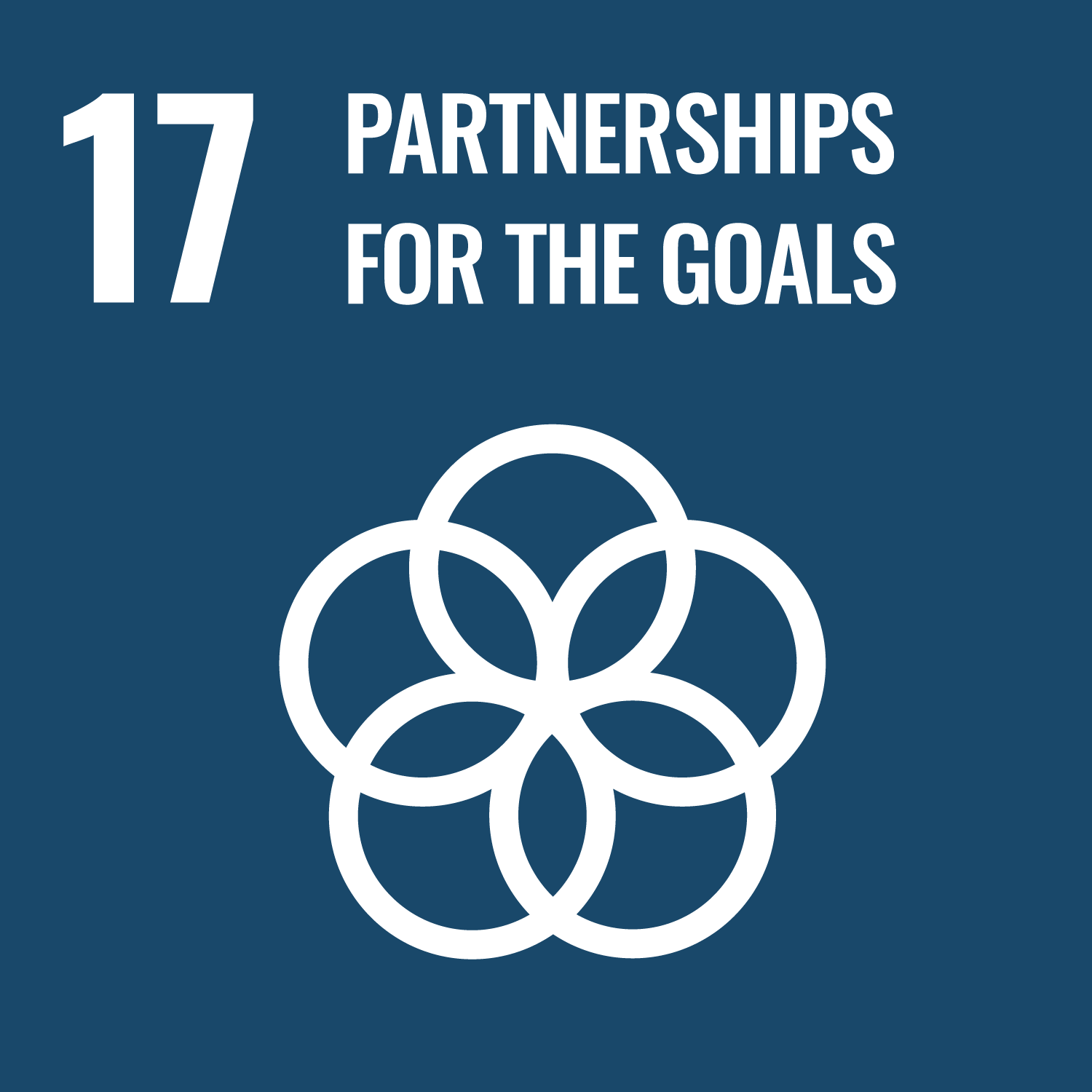 WisR ROI SDG 17