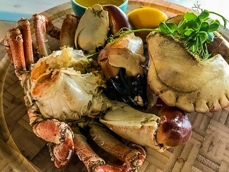 Crab Shed quayside seafood restaurant on Devon's beautiful