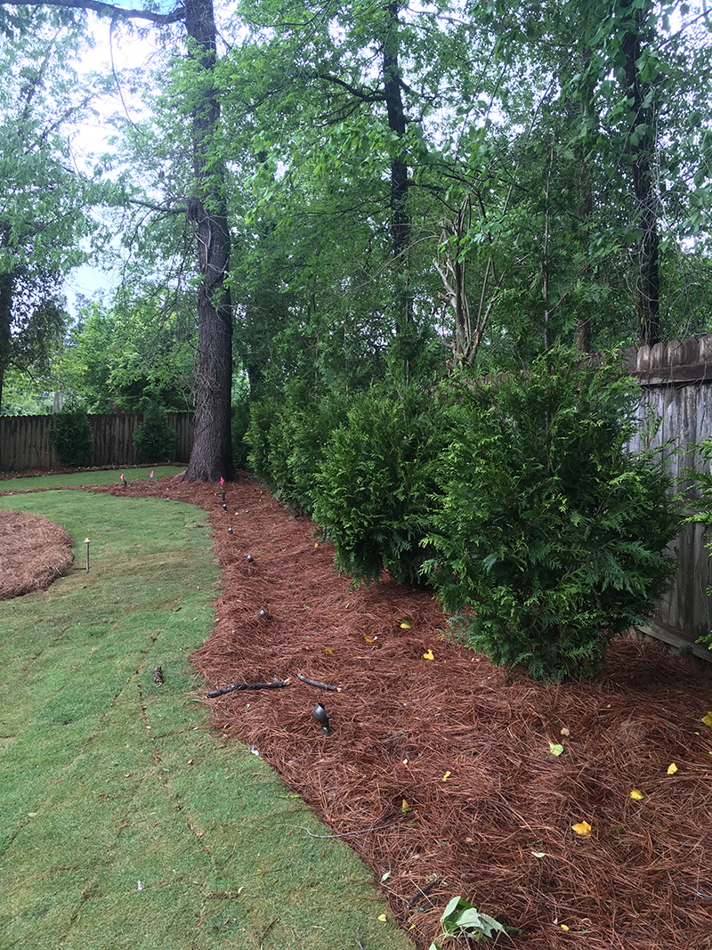 Creating Curb Appeal About Town