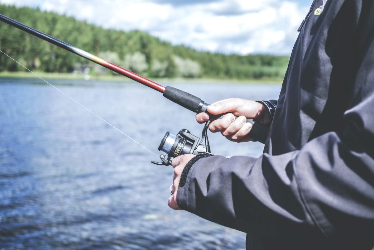 Where Does Alabama Rank in the Best States for Fishing? About Town