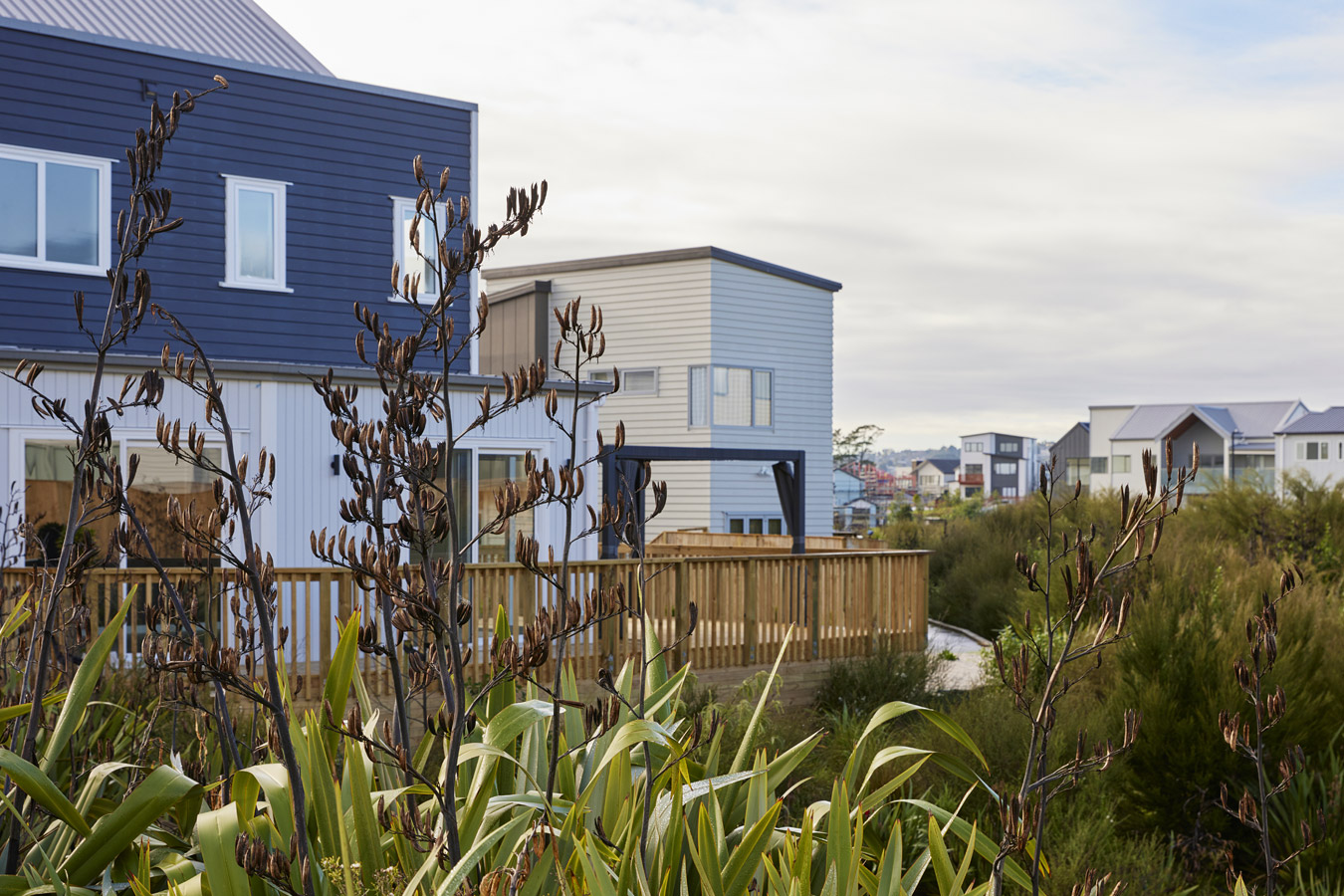 Hobsonville Point Residential & Community