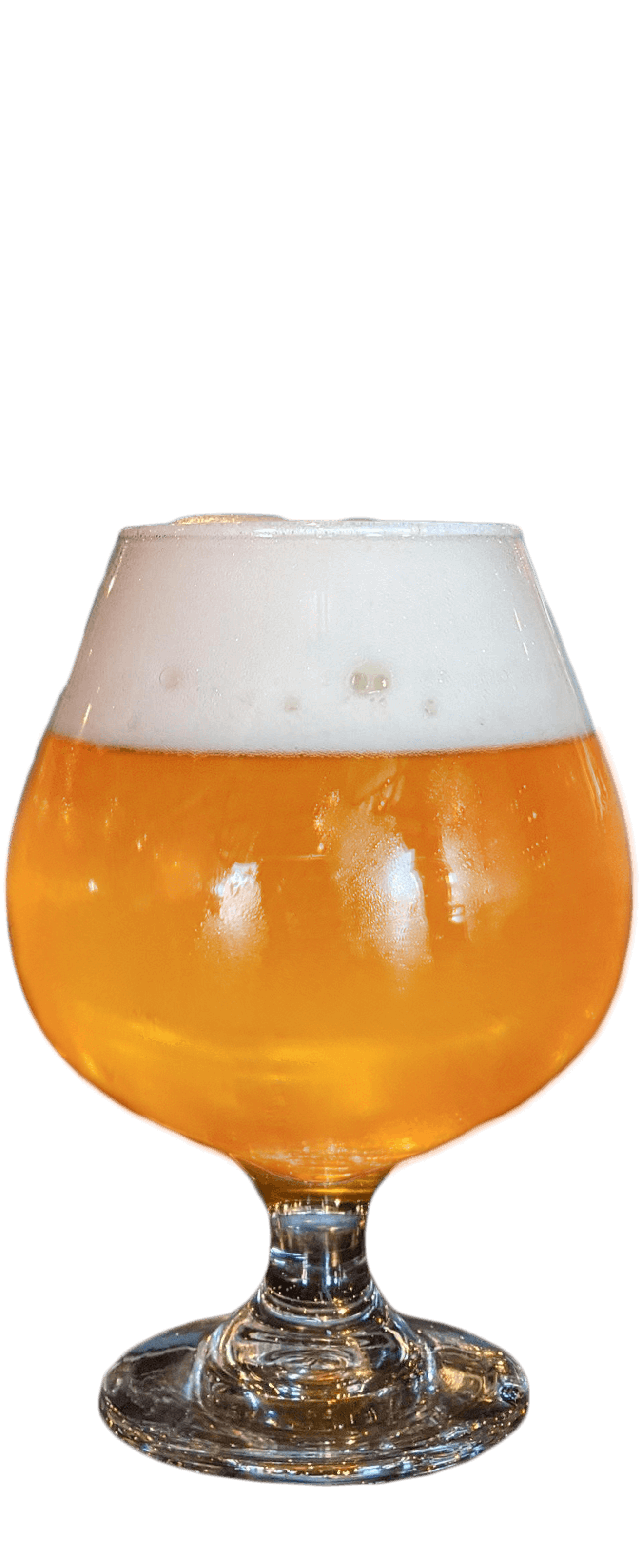 Hallertau Haze