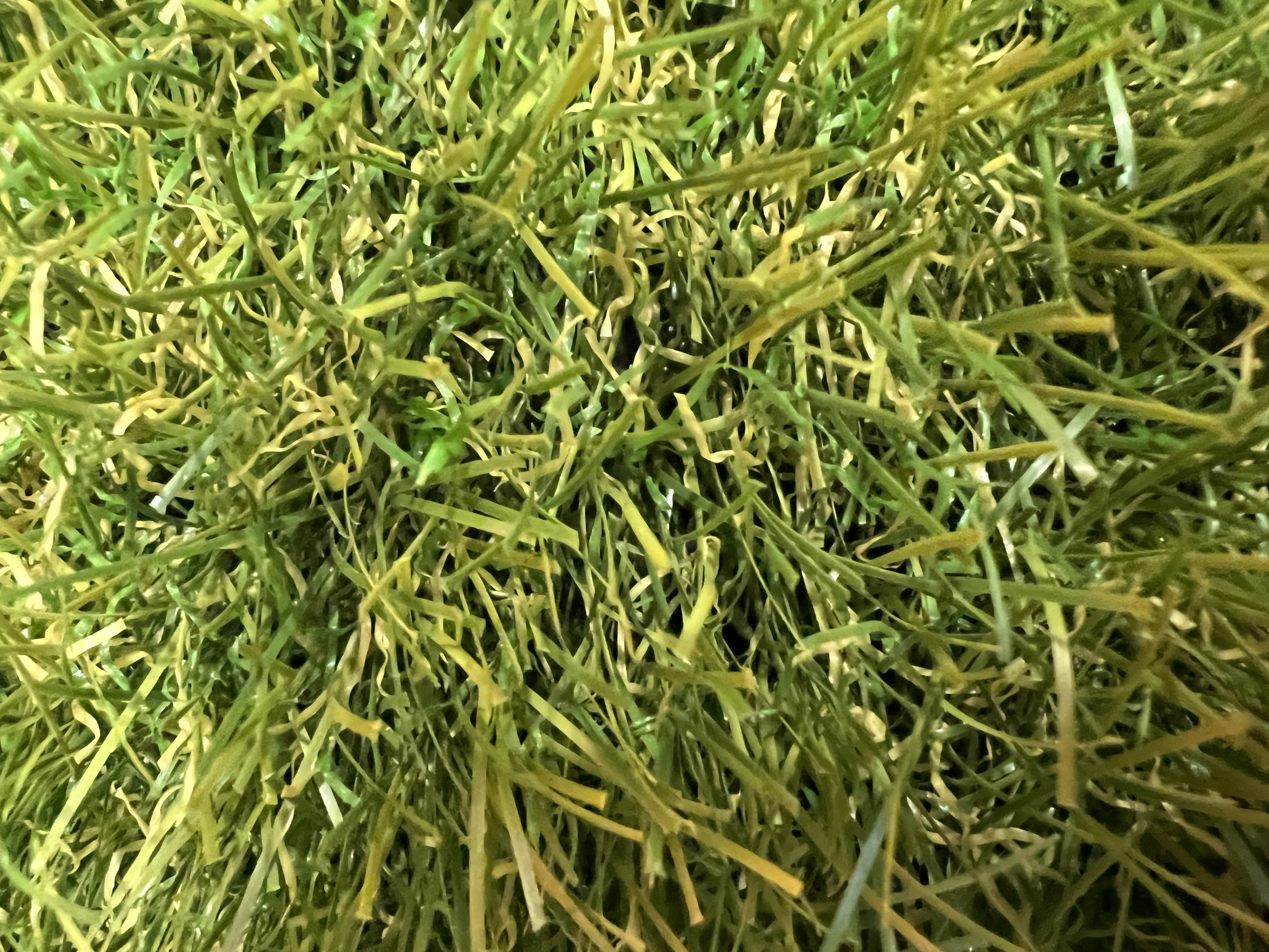 Value 40 Artificial Grass 4M
