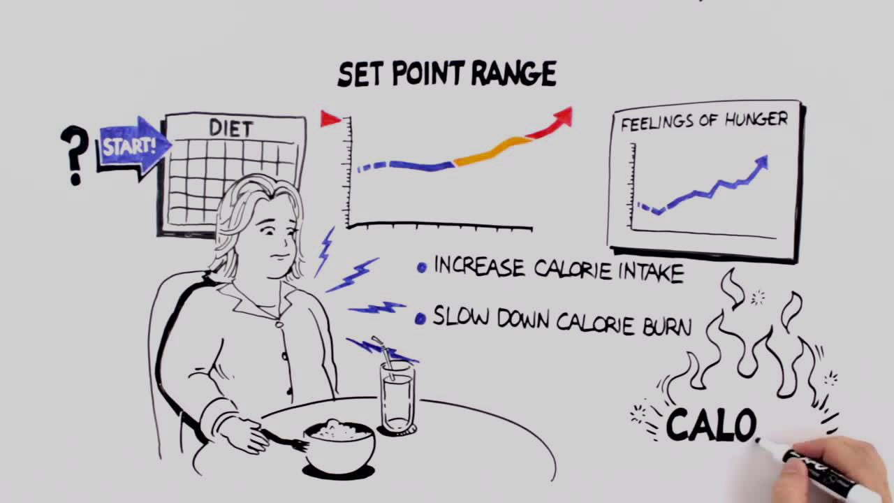 Obesity and Weight Loss Surgery Dr Benedict Mackay