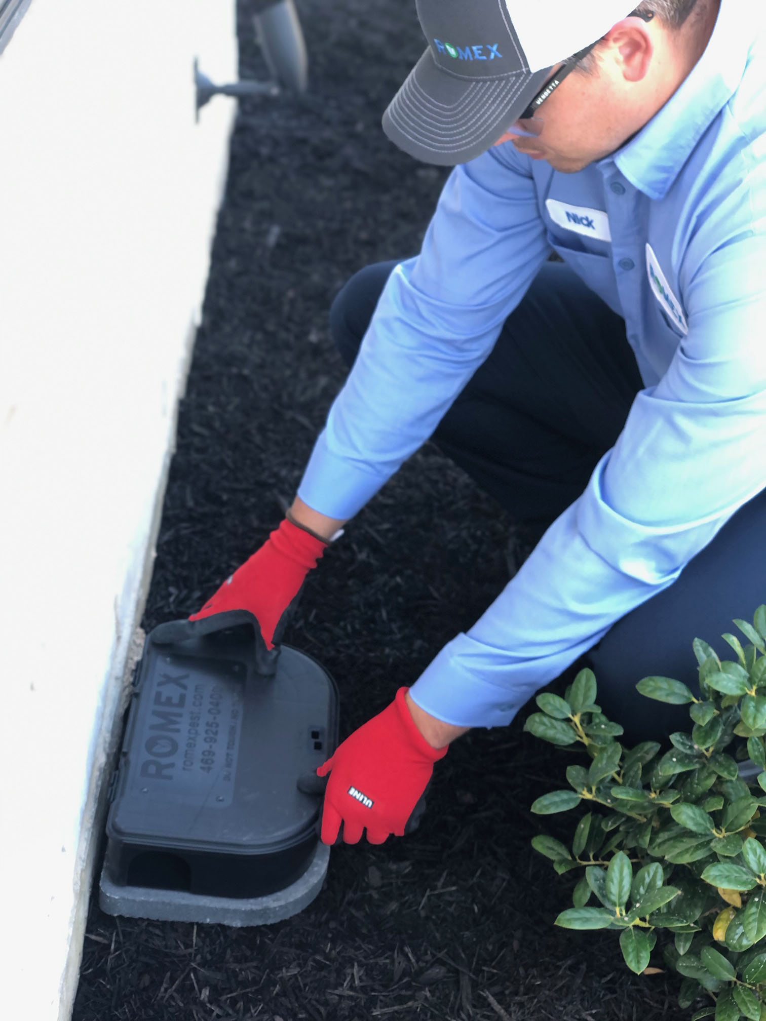 Rodent Control Romex Pest Control Is Your Best Solution!