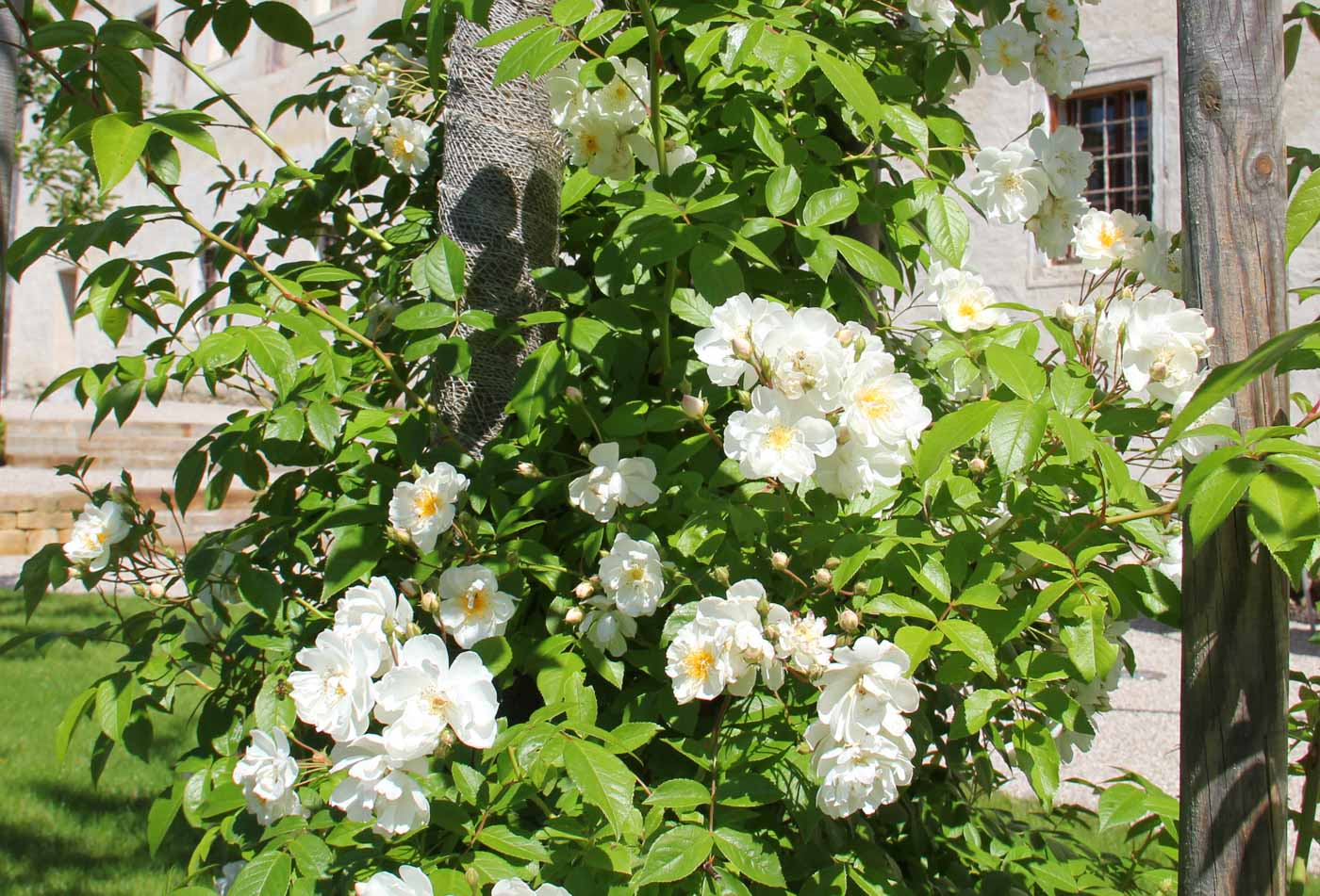 Hochzeitslocation "Landschloss Parz"
