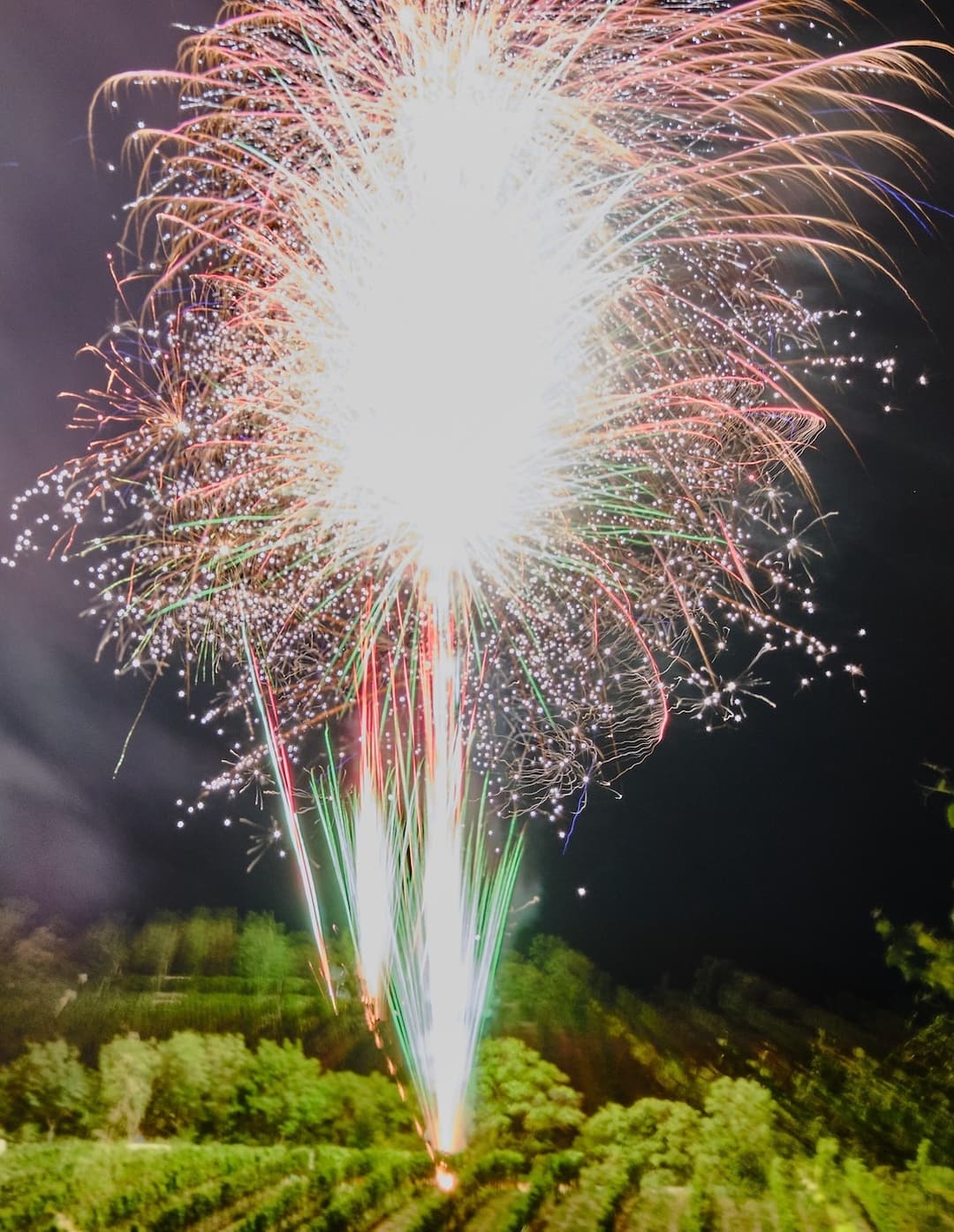 Hochzeitsfeuerwerk von "Skyfire"